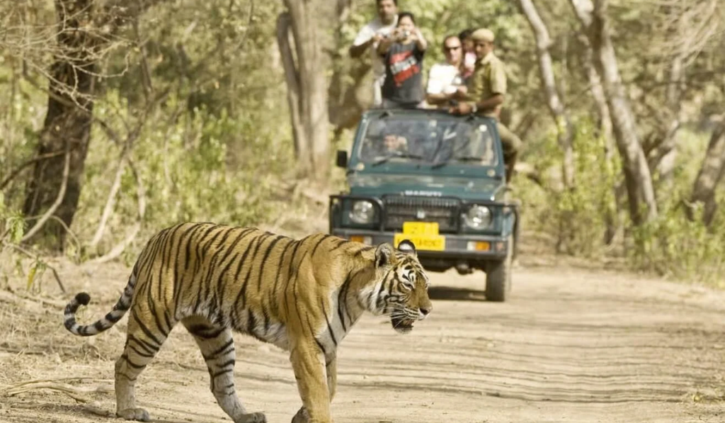 Things to Do in Bangalore