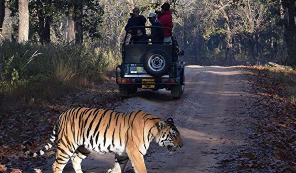 Things to Do in Bangalore