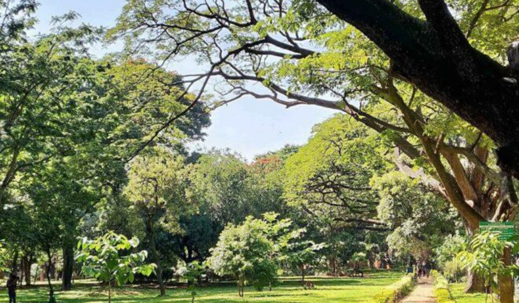 Things to Do in Bangalore