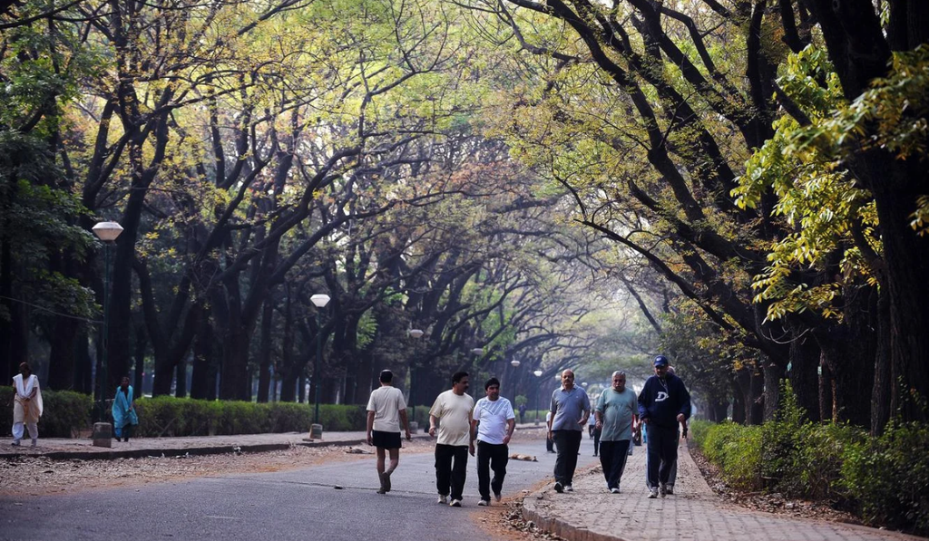Things to Do in Bangalore