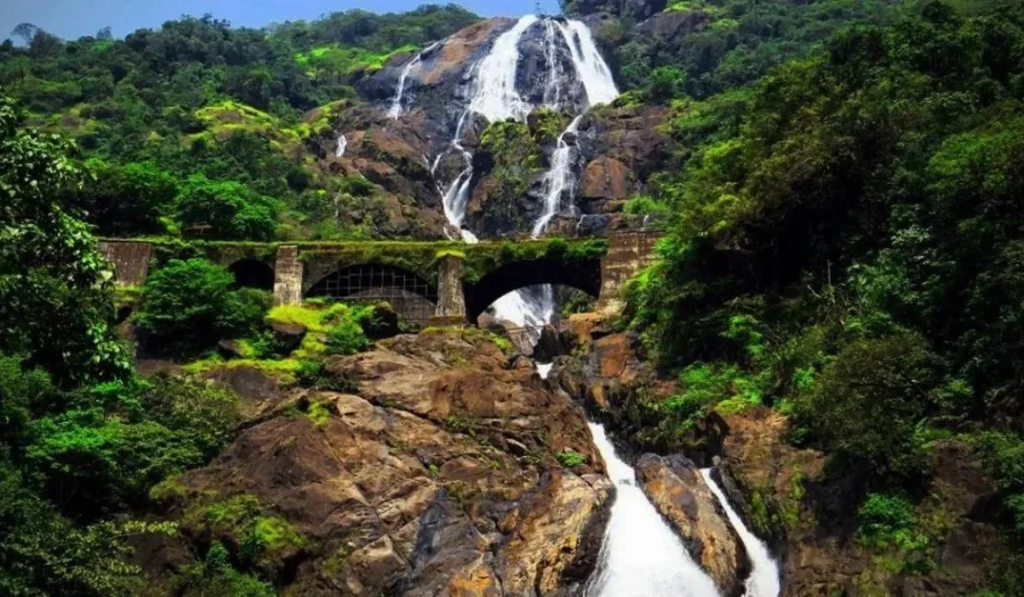 Things to Do in Goa